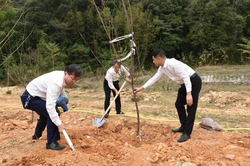 买球赛十大平台